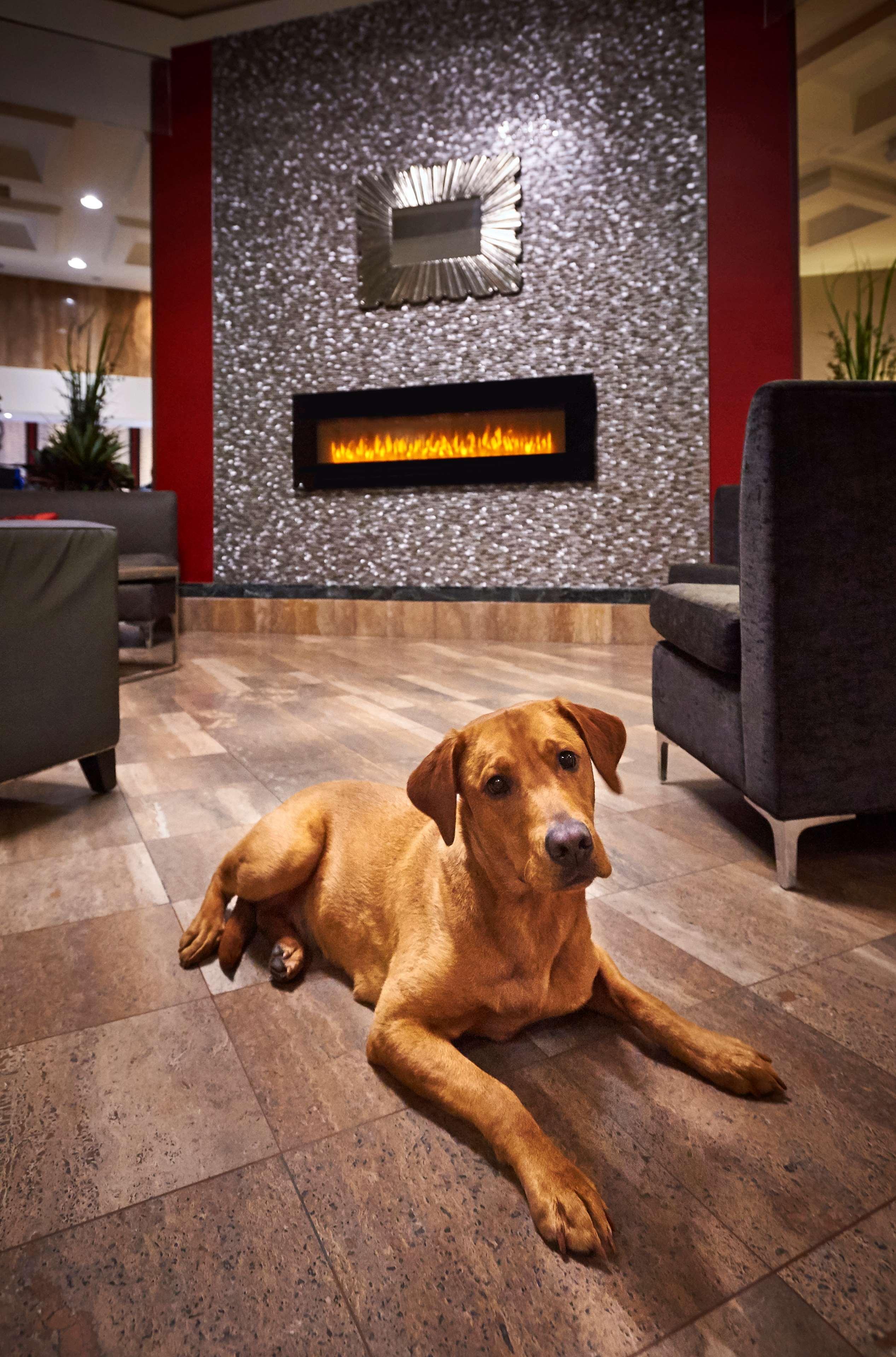 Best Western Plus Waterfront Hotel Windsor Esterno foto
